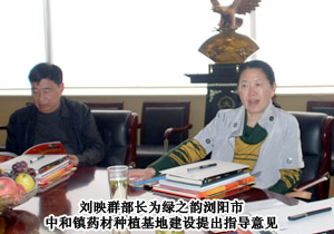 長沙市委統(tǒng)戰(zhàn)部常務(wù)副部長劉映群一行蒞臨綠之韻集團考察