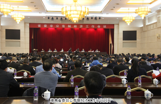 綠之韻集團董事長胡國安出席湖南省委非公有制經(jīng)濟工作會議，并接受湖南衛(wèi)視、經(jīng)視采訪