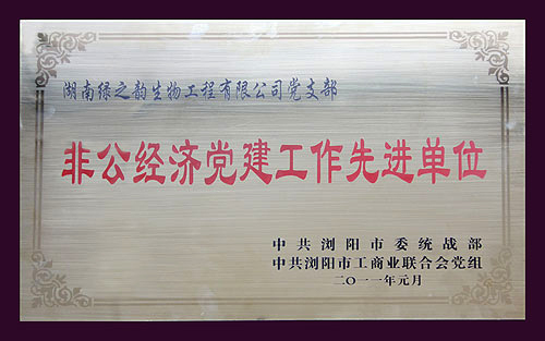 非公經濟黨建工作先進單位
